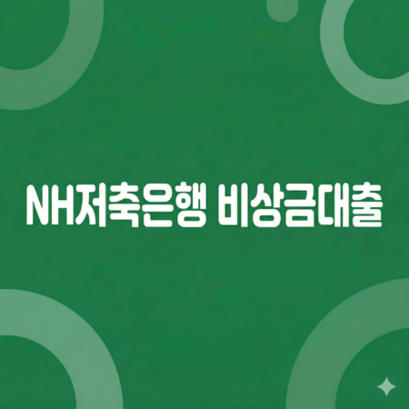 NH저축은행 비상금대출
